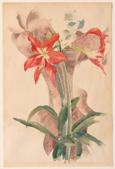 Amaryllis av Charles Demuth