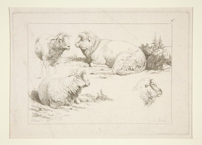Studie av får av Charles Echard