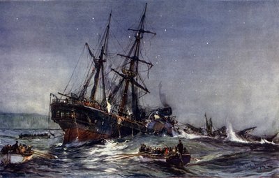 The Wreck of the Birkenhead, 1852 av Charles Edward Dixon
