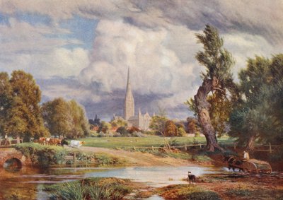 Salisbury Cathedral (färglitografi) av Charles Edward Johnson