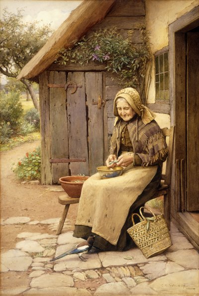 En finfjädrad vän (w/c på papper) av Charles Edward Wilson