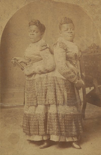 Albumtryck av Millie och Christine McCoy, 1880-1890-talen. av Charles Eisenmann
