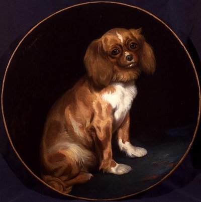 En King Charles Spaniel av Charles Emile Callande de Champmartin