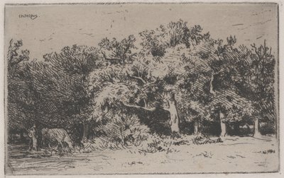 Ett hörn av skogen Fontainebleau (etsning) av Charles Emile Jacque
