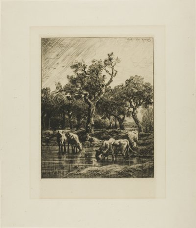 Kor på en vattningsplats av Charles Emile Jacque