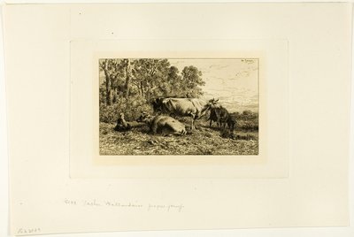holländska kor av Charles Emile Jacque