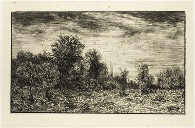 Edge of a Wood, under molnig himmel av Charles Emile Jacque