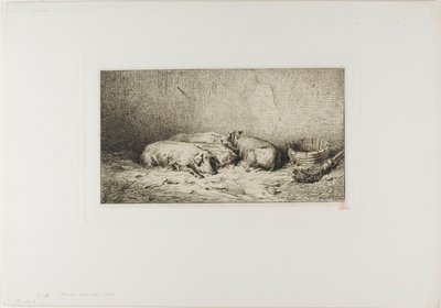 Fyra sovande grisar av Charles Emile Jacque