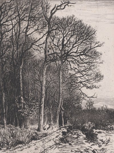 Edge of the Wood, 1846. av Charles Emile Jacque