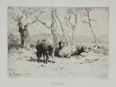 Får, 1868. av Charles Emile Jacque