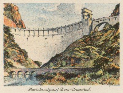 Sydafrika: Hartebeestpoortdammen, Transvaal (färglitografi) av Charles Ernest Peers