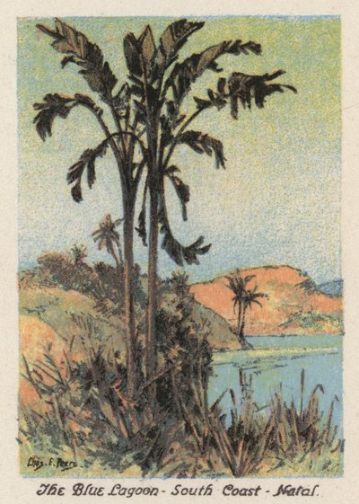 Sydafrika: Den blå lagunen, sydkusten, Natal (färglitografi) av Charles Ernest Peers