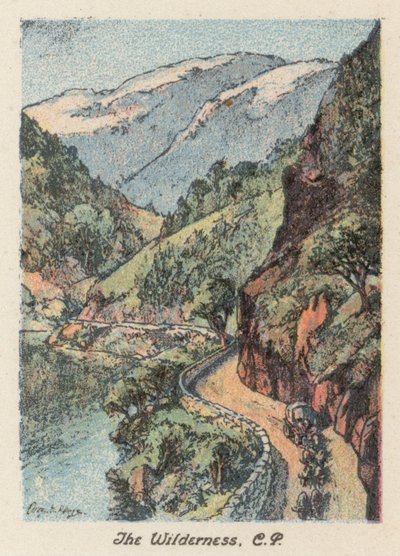 Sydafrika: The Wilderness, CP (färglitografi) av Charles Ernest Peers