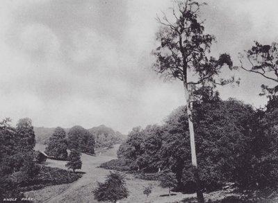 Knole Park (svart/vitt foto) av Charles Essenhigh Corke