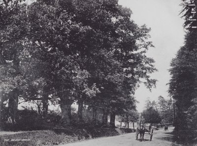 The Seven Oaks (s/v foto) av Charles Essenhigh Corke