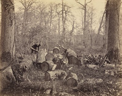 Fontainebleau-skogen av Charles Famin