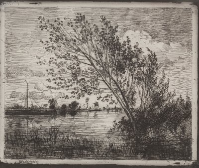 A Cluster of Alders, originalavtryck 1862, tryckt 1921. av Charles Francois Daubigny