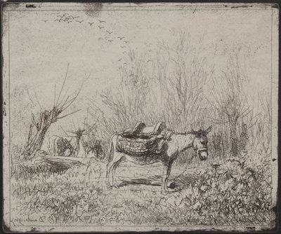 A Donkey in the Field, originalavtryck 1862, tryckt 1921. av Charles Francois Daubigny