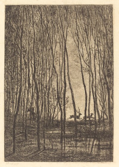 Rådjur i skogen av Charles Francois Daubigny