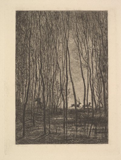 Rådjur i skogen, 1850. av Charles Francois Daubigny