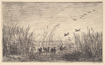 Ducks in the Marshes, [1862], omtryckt 1921. av Charles Francois Daubigny