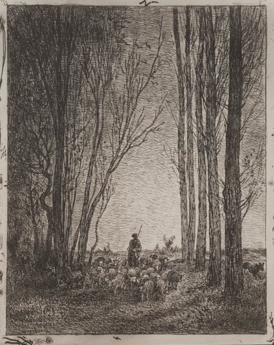 Gathering in the Flock, originalavtryck 1862, tryckt 1921. av Charles Francois Daubigny