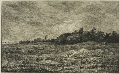 Pre des Graves i Villerville (Calvados) av Charles Francois Daubigny