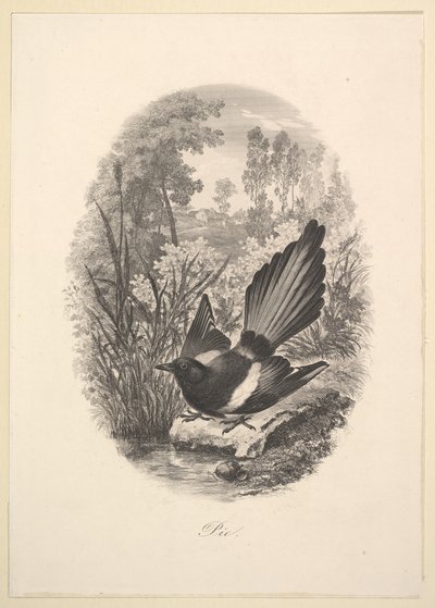 Skata, 1843. av Charles Francois Daubigny