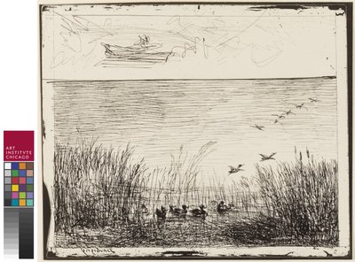 Marsh with Ducks, 1862 av Charles Francois Daubigny