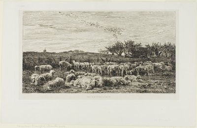 Äng med får av Charles Francois Daubigny