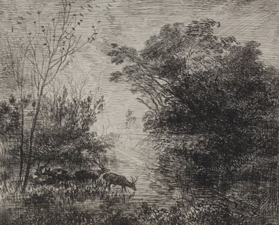 Stags, originalavtryck 1862, tryckt 1921. av Charles Francois Daubigny