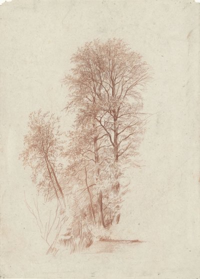 Studie av två smala och endast mindre träd i löv av Charles Francois Daubigny