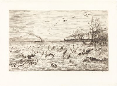 Fisken gläds när stugan pojken lämnar (Rejouissances de poissons du depart du mo av Charles Francois Daubigny