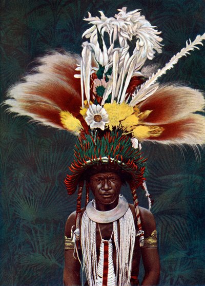 En Roro-hövding klädd för en ceremoniell dans, Papua Nya Guinea, 1920. av Charles Gabriel Seligman