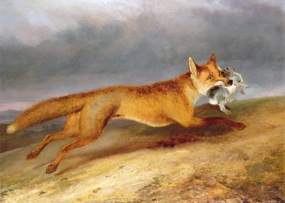 Räv på väg med en kanin av Charles Hancock