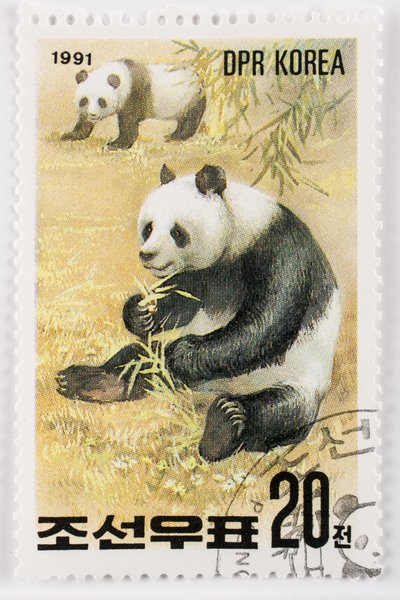 Frimärke/Nordkorea/Ailuropoda melanoleuca/Grand panda/Giant Panda av Augustus Kollner