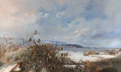 Fåglar av en fjäder av Charles Henry Clifford Baldwyn