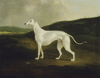 En vinthund i ett landskap av Charles Henry Schwanfelder