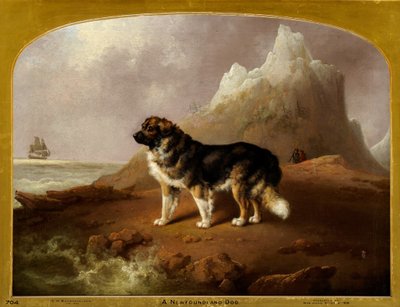 En Newfoundlandshund av Charles Henry Schwanfelder