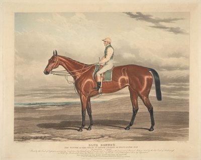 Hästkapplöpning: Blue Bonnet. Vinnaren av de stora St. Leger Stakes i Doncaster 1842 av Charles Hunt