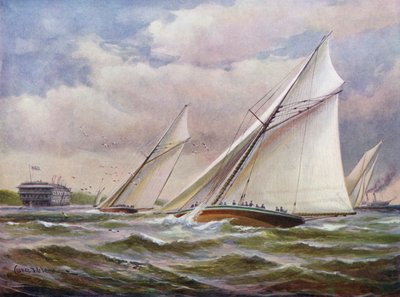 Vita vingar av Charles John de Lacy