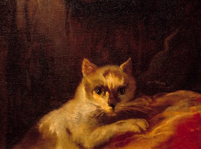 Mademoiselle de Charolais Detalj som representerar katten. Målning av Charles Joseph Natoire (Charles-Joseph Natoire av Charles Joseph Natoire
