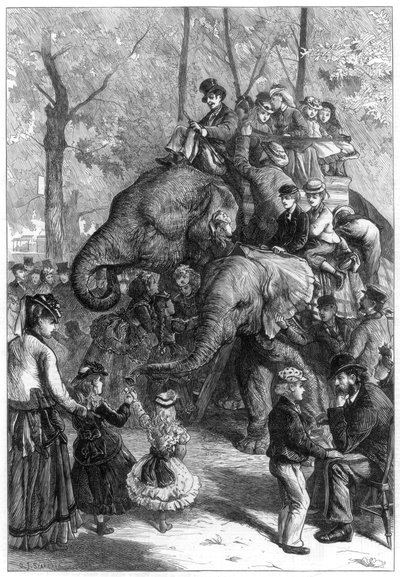 Måndag eftermiddag i zoologiska föreningens trädgårdar, 1871. av Charles Joseph Staniland
