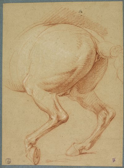 Bakbenen på en häst av Charles Le Brun