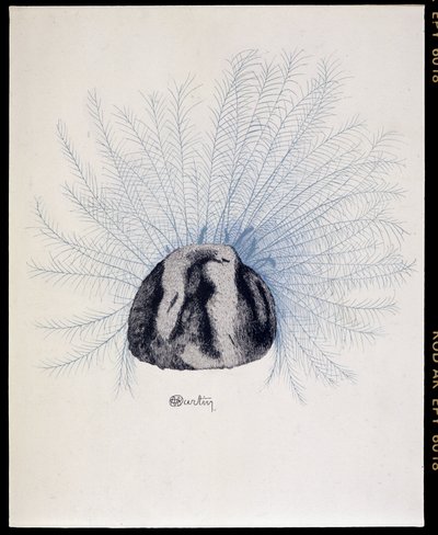 Faderad hatt - "La Mode en 1912" av Marcelle Demay, illustration av Charles Martin (1884-1934) av Charles Martin