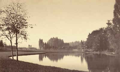 Bois de Boulogne, 1858. av Charles Marville