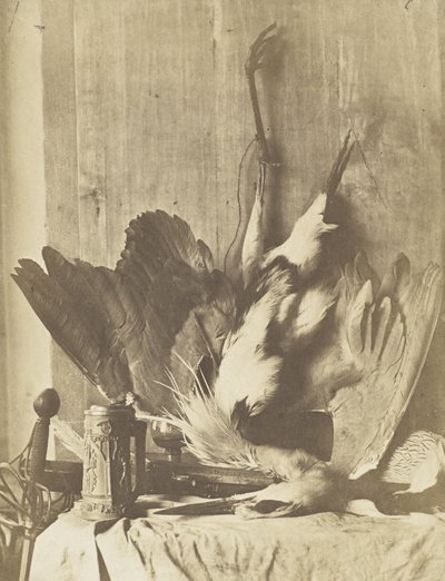 Game Still Life, ca 1853-55 (albuminiserat saltat papperstryck) av Charles Marville