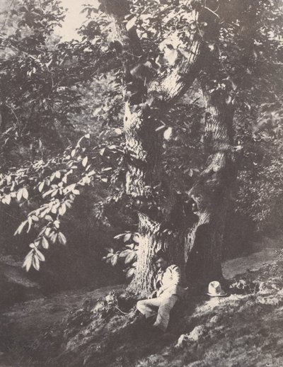 Man liggande vid foten av en kastanjeträd, 1850-53. av Charles Marville