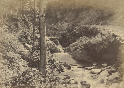 [Den schweiziska dalen i St. Goarshausen] av Charles Marville