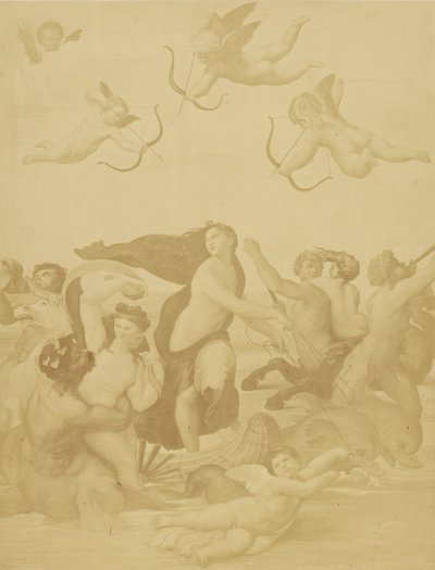 [Reproduktion av Galatea av Raphaël] av Charles Marville